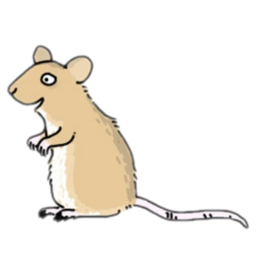 die ratte, die maus kriecht, das rattenmuster, malen der ratte, mouse illustration