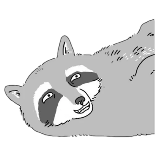 der waschbär, der waschbär, the raccoon, illustration des waschbären, waschbär kopf cartoon