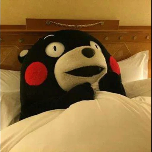 kumamon, jouets, maman ours anime, esthétique kumamon, when you close your eyes