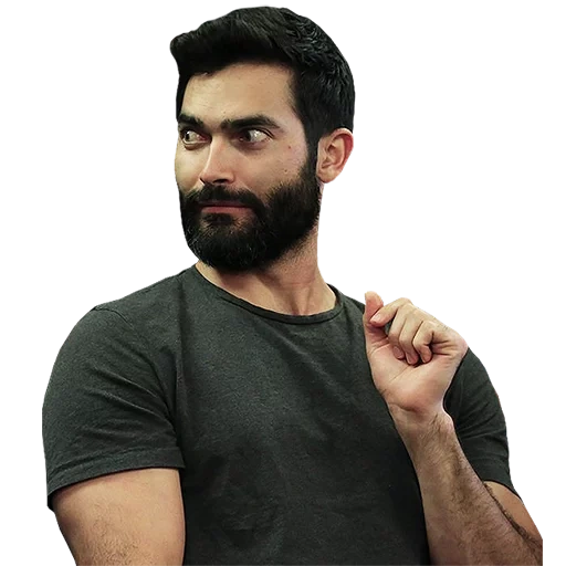 cantantes, barba, el hombre, humano, derek hale