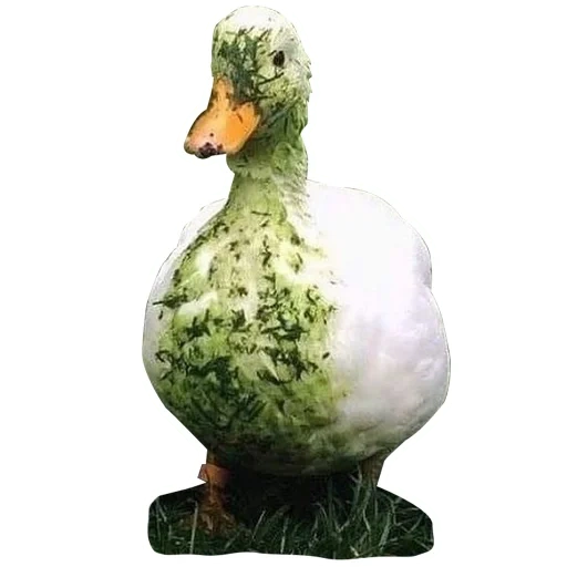 pato, figura de jardín de un ganso