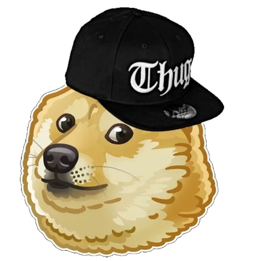 channel, dog meme, doge channel, the dog likes, not an angry dog