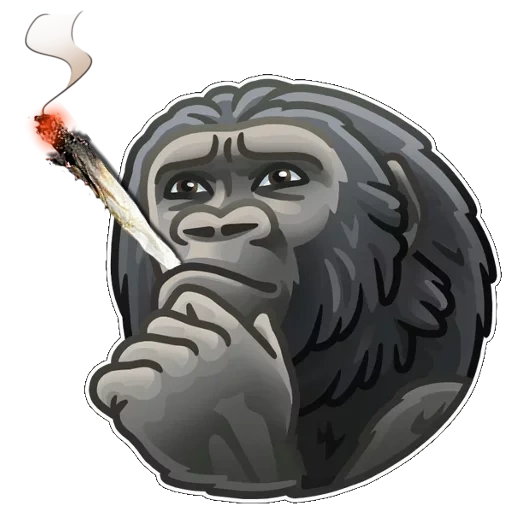 gorila, la cabeza del gorila, dibujo de gorila, cigarro de gorila, mono gorila