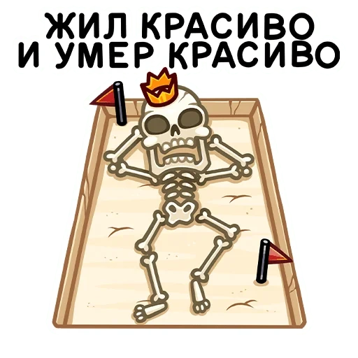 tibo, kerangka, skeleton