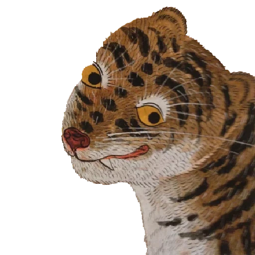 tiger, a toy tiger, amur tiger cub, sumatran tiger, little tiger toy