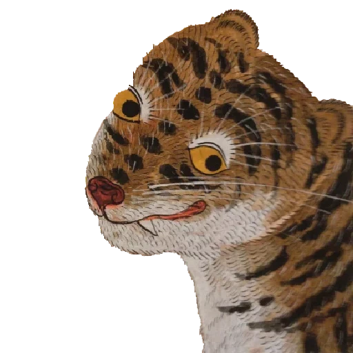 tigre, jouet tigre, amur tigerok, tigre de sumatra, un petit jouet de tigre