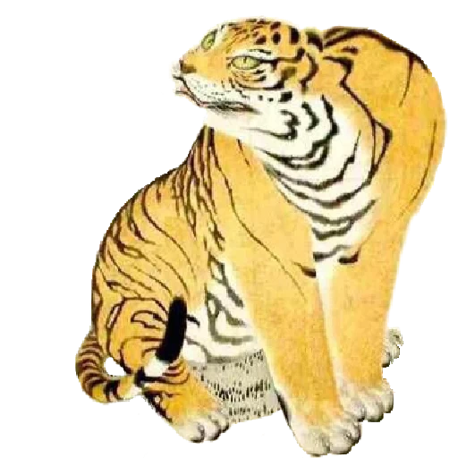 tigre, tigre, tigre, sentado tigre, amur tiger