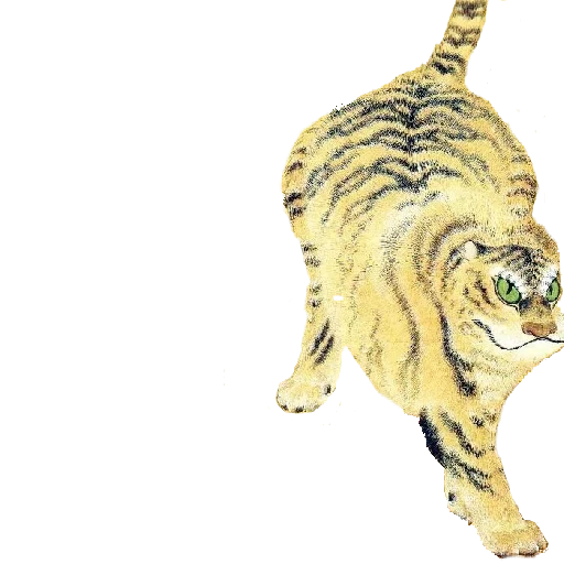tiger, tiger taro, tiger gold, tiger on a white background, papo tiger roar