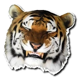 Tiger @stickersb2b