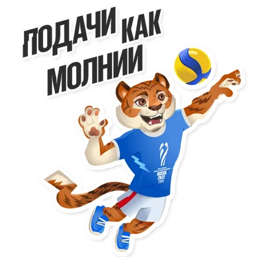 page text, ticket world volleyball championship