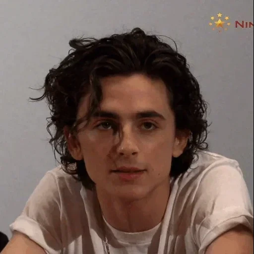 timothee, robert sheehan, styles harry, timothy shalame, timothy shalame 2020