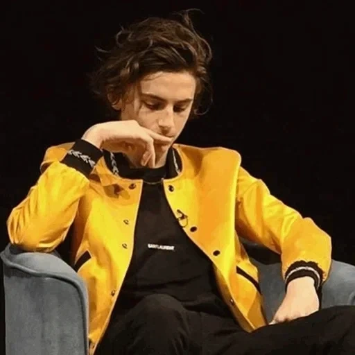 mec, garçon, les acteurs sont beaux, un beau garçon, zendaya et timothee chalamet