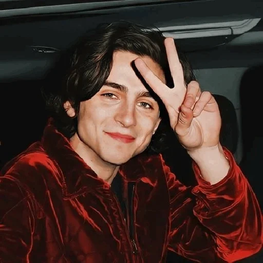 salami, timothee, timothy salame, the actors are all beautiful, timothee chalamet paparazzi