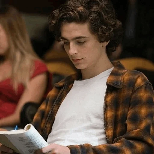 timothee, ami hammer, timothy salame, call me your name, timothy chalamet is a handsome boy