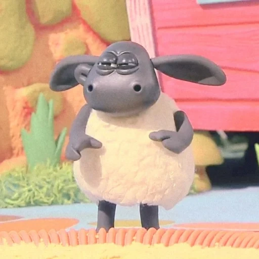 shawn the lamb, timmy the lamb, shawn timmy the lamb, shawn the lamb cartoon, timmy the lamb cartoon