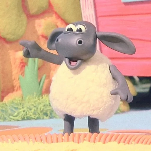 shawn the lamb, timmy the lamb, shawn timmy the lamb, shawn the lamb cartoon, timmy the lamb cartoon