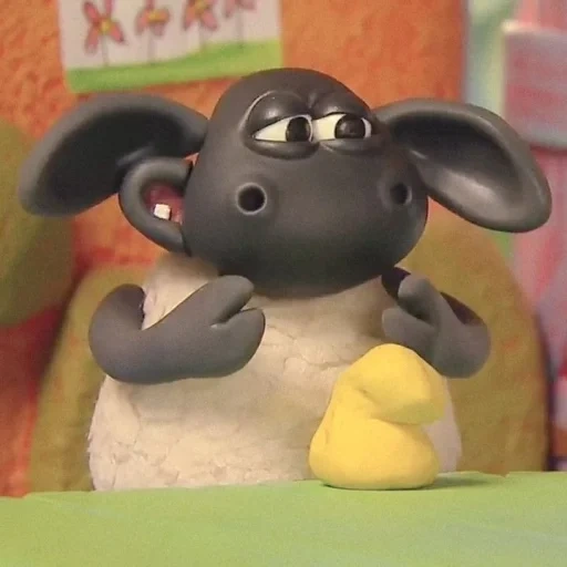 shawn the lamb, timmy the lamb, shawn timmy the lamb, shawn the lamb cartoon, shawn timmy the lamb time