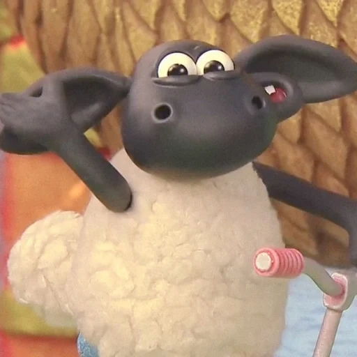 shawn the lamb, timmy the lamb, timmy the lamb cartoon, timmy the lamb season 1, shawn timmy the lamb time