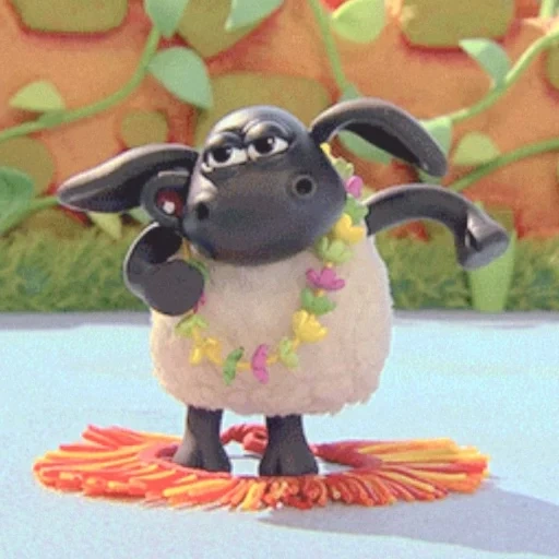 barashka sean, barati timmy, barashka sean timmy, cartone animato di agnello timmy, lamb sean timmy tim