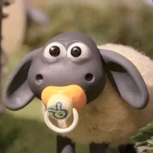 shaun si domba, barashka sean timmy, lamb sean season 5, domba sean baby timmy, timmy lamb lamb sean