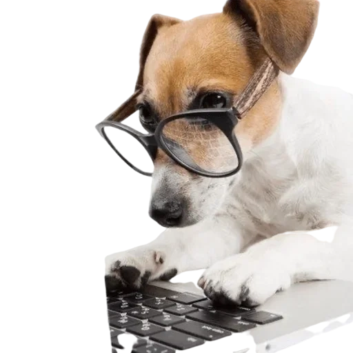 the dog is a laptop, dog at the computer, smart dog with a computer, dog at the computer drawing