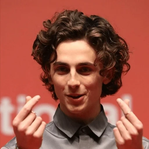 шаламе, timothee, роберт шиэн, тимоти шаламе, timothee chalamet король