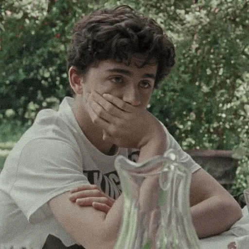 элио перлман, оливер cmbyn, тимоти шаламе, мальчики актеры, зови меня своим именем