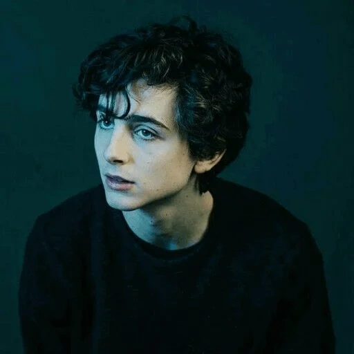 timothee, harry potter, timothy sharame, timothy chalamet, pria tampan