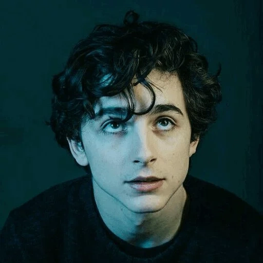 shalame, wattpad, timothee, timothy shalame, timothy chalamet