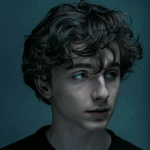 anak muda, timothee, timothy sharame, timothee chalamet, panggil aku namamu