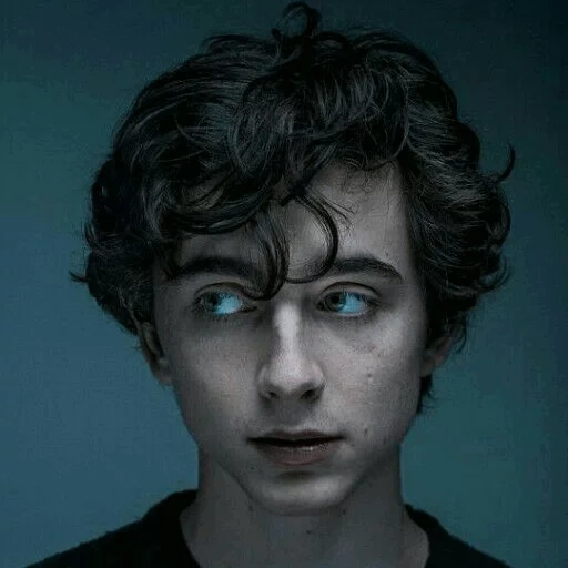 timothee, timothy shalame, meninos adoráveis, timothee chalamet, retrato de timothee chalamet