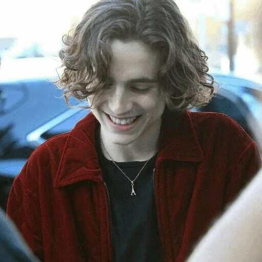 salami, timothee, timothy salame, matthew clavane, sohre timothy chalamet elio