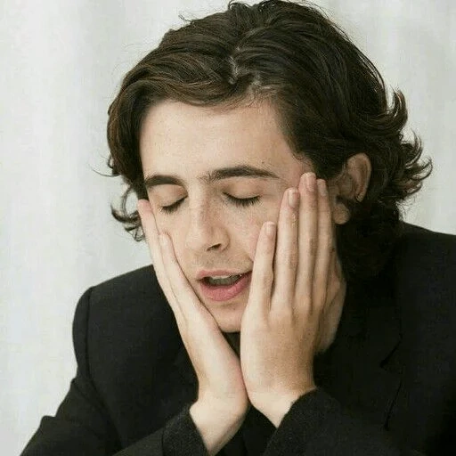 der junge mann, the boy, timothy sharame, süße jungs, timothee chalamet lady bird