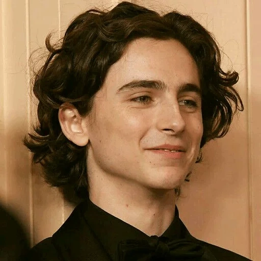 salami, timothee, timothy salame, lady timothy chalamet bird, timothee chalamet postcard