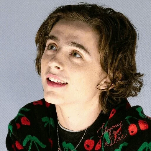 salame, timothee, timothy salame, timothy dolce tea, timothee chalamet matt holyoak