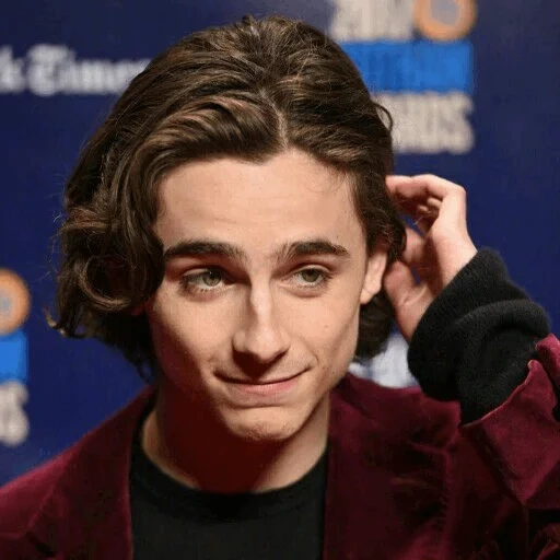 timothee, timothy sharame, aktor timothy chalamet, panggil aku namamu, timothy shalome plastics