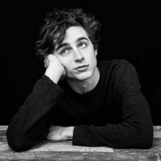 salame, timothee, timothy sharame, aktor timothy chalamet, panggil aku namamu