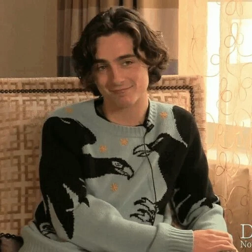 uomini, timothee, timothy salame, attore di strada ribelle, adam driver marriage story