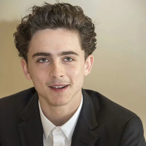 timothee, male singer, timothy salame, timothee chalamet smile, american actors are beautiful