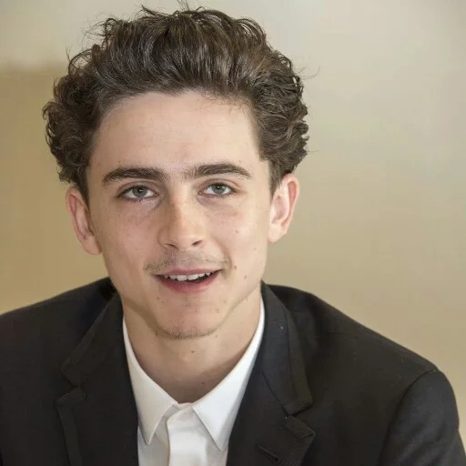 timothee, male singer, timothy sharame, timothee chalamet smile, amerikanische schauspieler schön