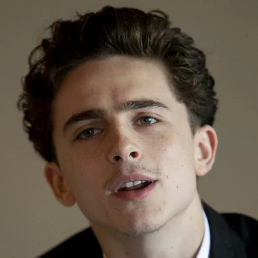 actor, timothee, timothy salame, timothee chalamet smile, american actors are beautiful
