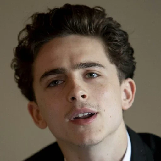 gli attori, timothee, timothy salame, chalamet smile timothee, l'attore americano è bello