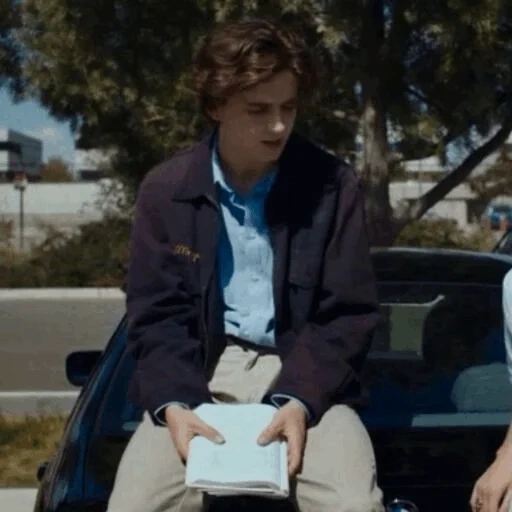 timothee, timothy sharame, american actors, frau timothy chalamay vogel, timothee chalamet lady bird