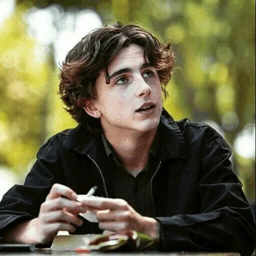 salami, timothee, timothy salame, mrs bird timothy chalamet, timothy chalamet pencil painting