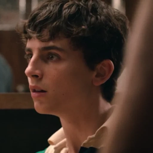 field of the film, timothy shalame, hot summer nights, call me your name, timothy chalamet hot summer