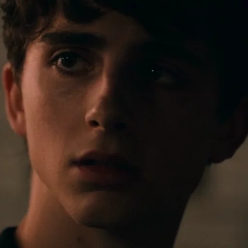 guy, the guys are beautiful, american actors, name your name movie 2018, timothee chalamet hot summer nights