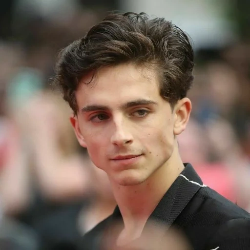 jawline, timothee, милые мальчики, красивый мальчик, привлекательные парни 2020