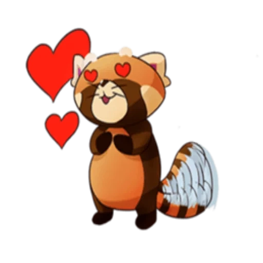 cat, panda, the raccoon went mad, animals are cute, heart-shaped raccoon