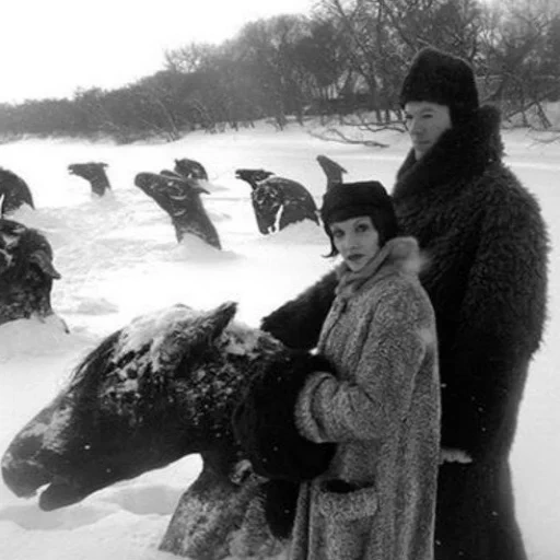 gadis, mimpi paman vologda, morfin 2010 barabanov, guy madding adalah winnipeg saya, andrei rublev tarkovsky