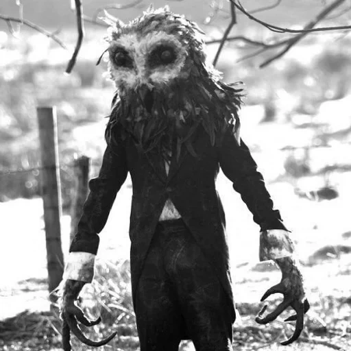 búho, owlman monster, lord tears film, lord lágrimas owlman, búho de un búho horror